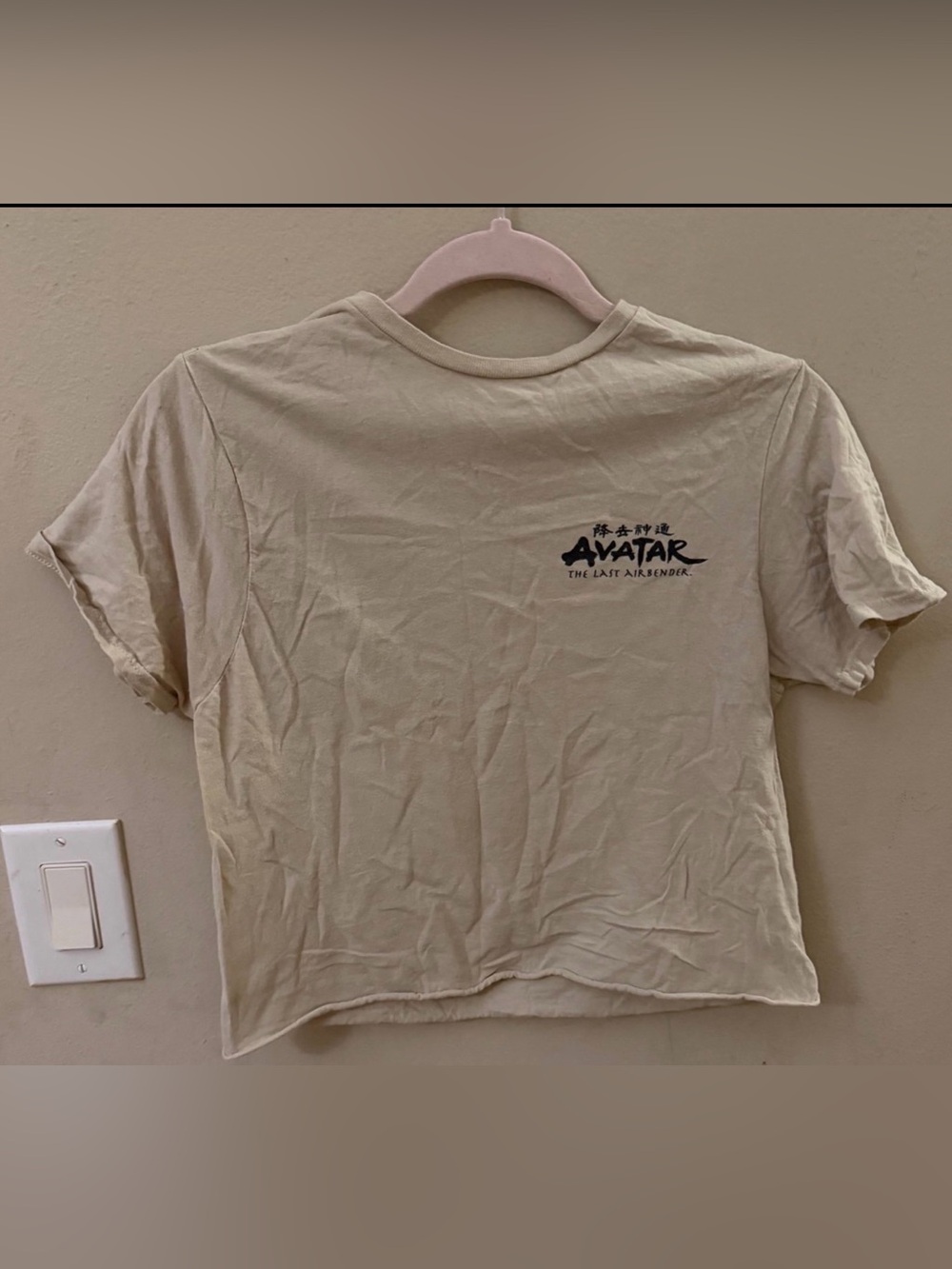 The Last Airbender Crop Tee - Cream